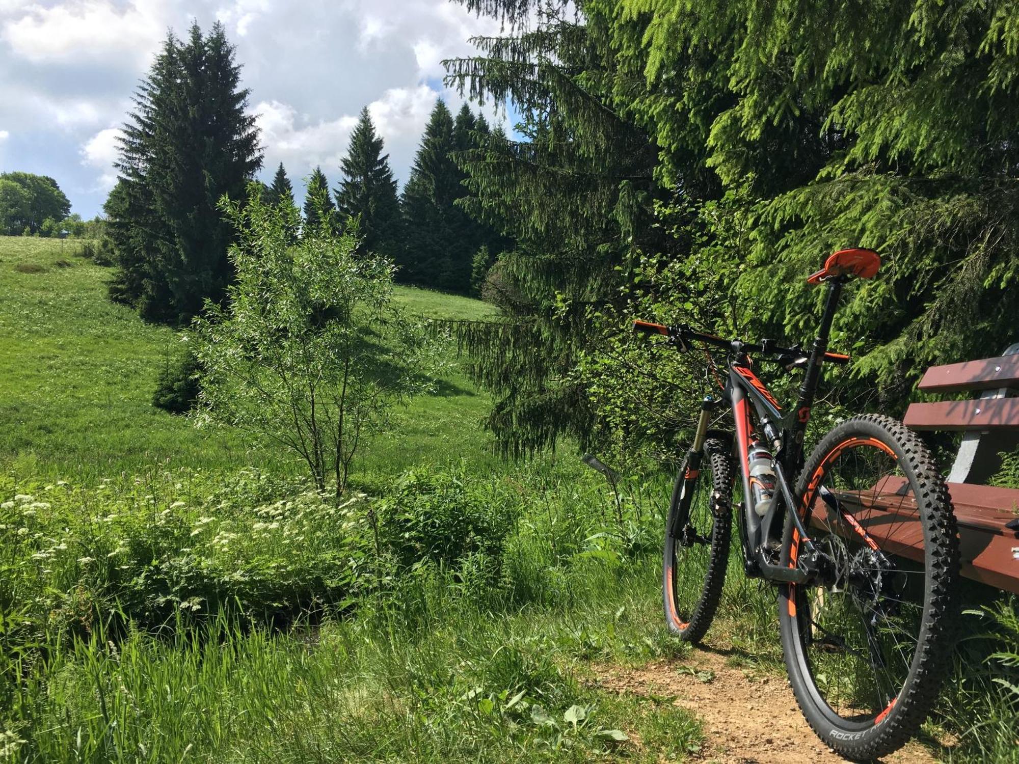 Ferienhaus Bikehuette Rehnhaeusl غيسنغ المظهر الخارجي الصورة